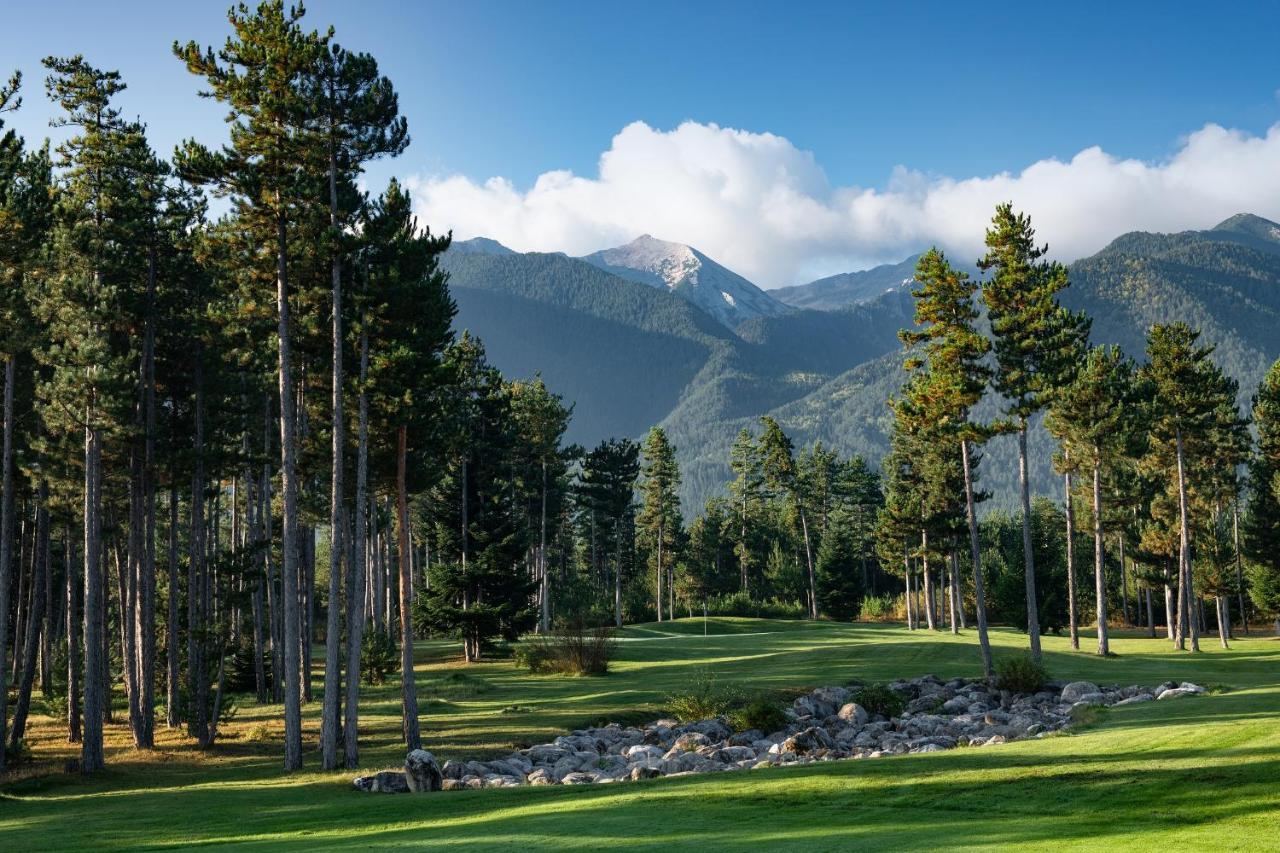 Luxury Chalets Pirin Golf & Country Club バンスコ エクステリア 写真